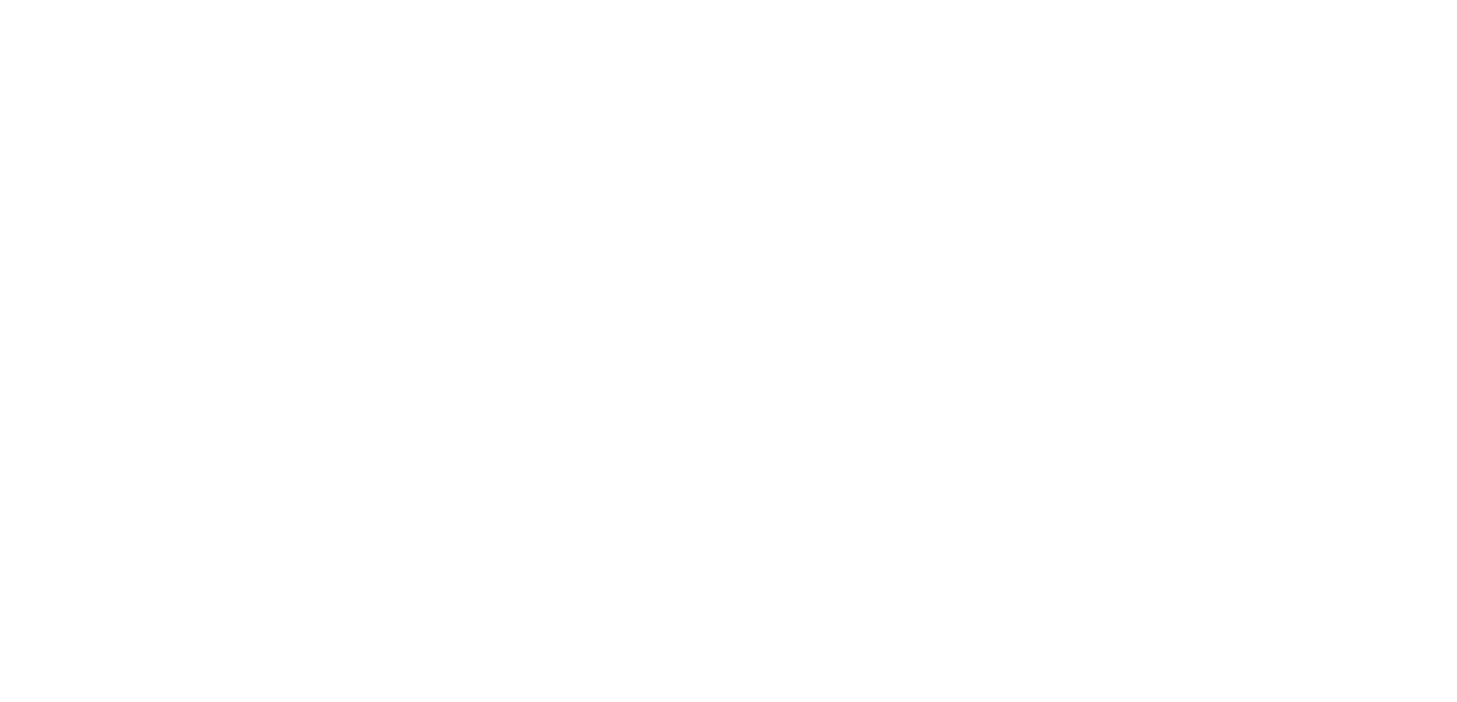 LOGO 20 ANS FC